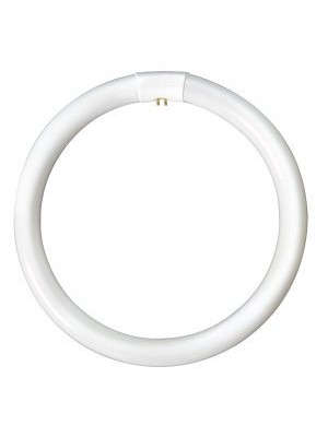 40W Circular Fluorescent Tube